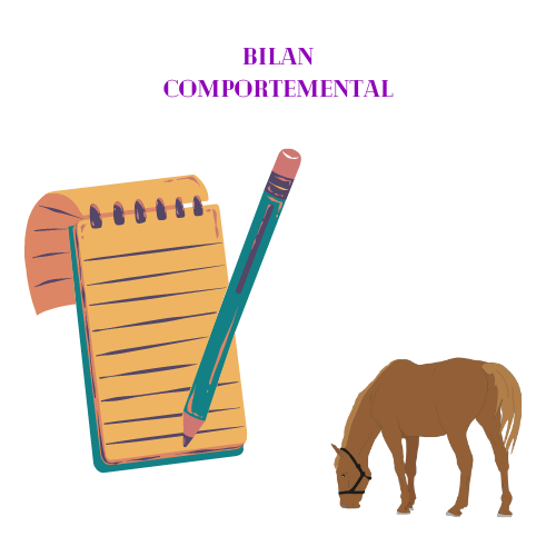 Bilan comportemental